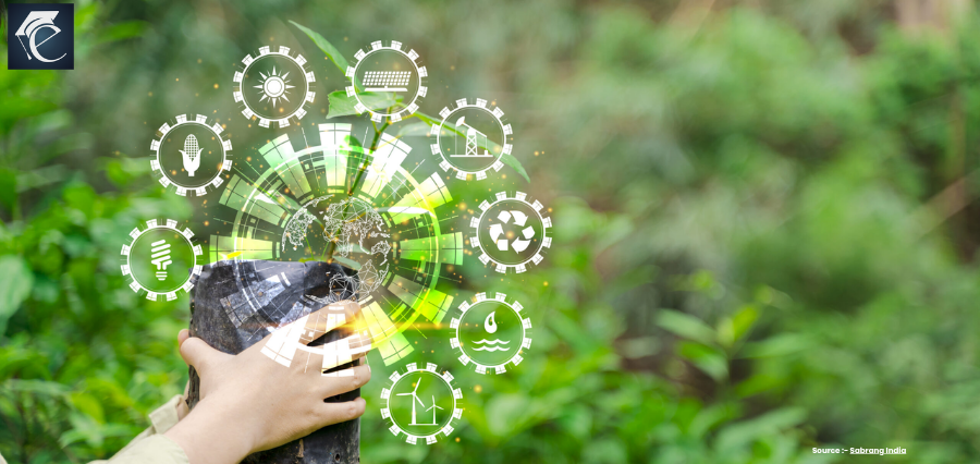 Why Green Skills for Future Generation Are Essential for a Sustainable Tomorrow? | Education Excellence Magazine